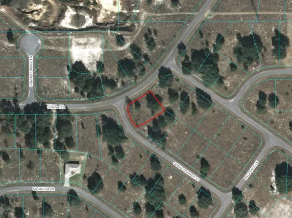 0 Guava Terrace Ct Lot 2, Ocklawaha, FL 32179