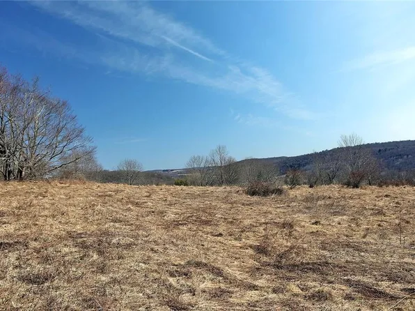 Lot 10 Skyline Drive, Fremont Center, NY 12736