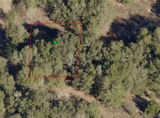 2912 Jackson St W, Inverness, FL 34453