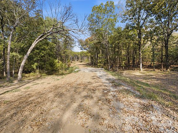 2nd image of Yellow Bull Rd