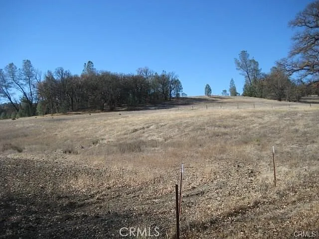 9505 Kelsey Creek Dr photo 1