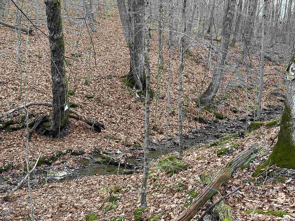 Tdb Sinclair Rd, Moatsville, WV 26405 Zillow