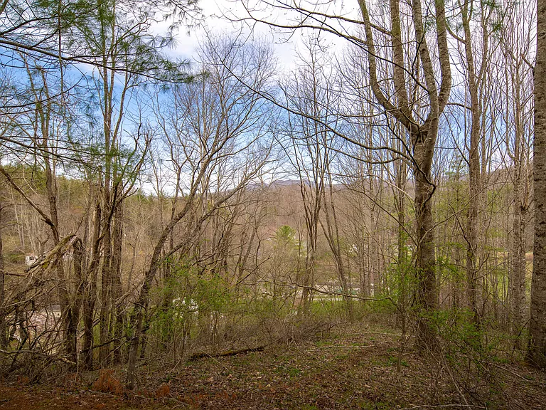205 Houston Harmon Rd — Photo 41