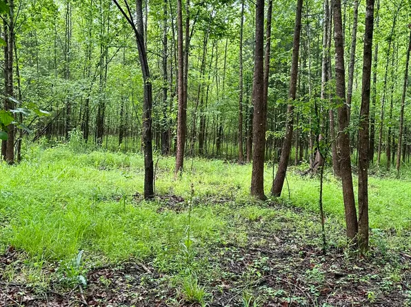 McClyde Rd, Como, MS 38619