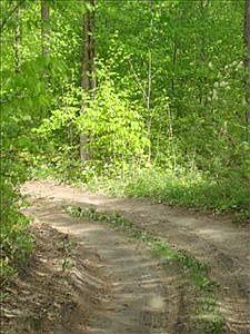 2nd image of 2392 Edwards Rd