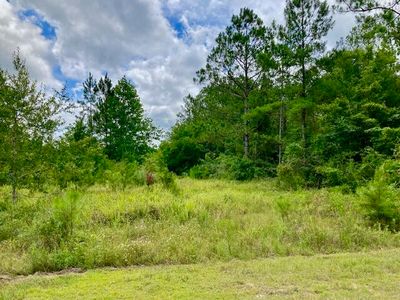 18AC Campbell Rd, Defuniak Springs, FL, 32435