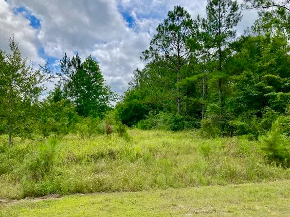 18AC Campbell Rd, Defuniak Springs, FL 32435