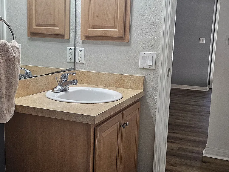 11110 Goldenrod Fern Dr — Photo 25