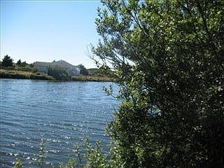 4th image of 865 Pheasant Pl
