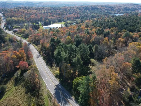 1195 NYS Route 17B, Mongaup Valley, NY 12762