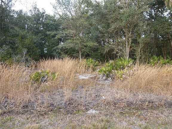 4th image of 228 Starling Ct