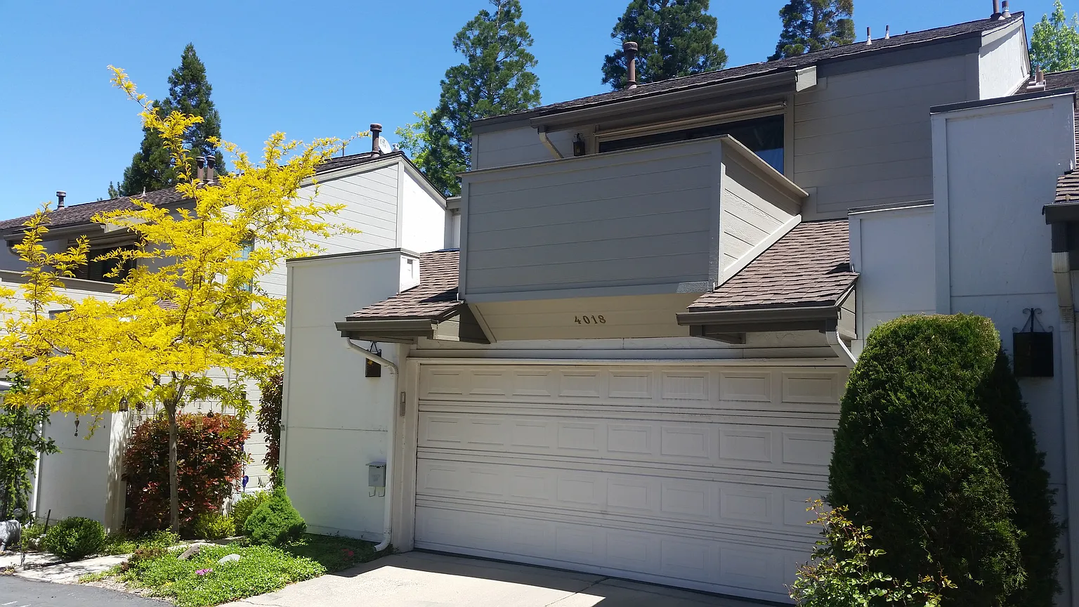 4018 Bluegrass Ct photo 1