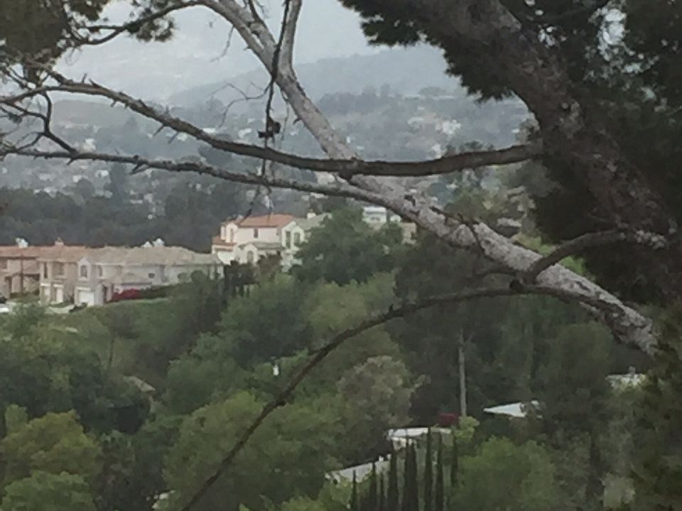 1st image of 1900 Peterson Ave