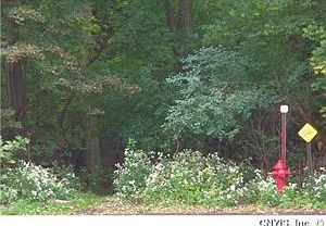 1st image of 153 Lynn Cir