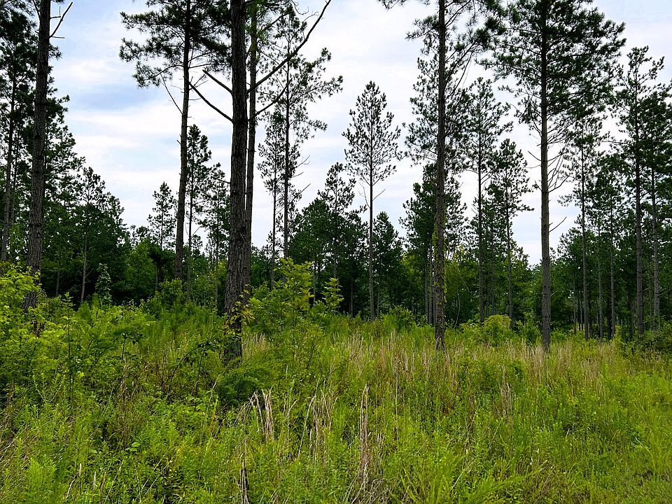 2nd image of TRACT 9 Hughes Lake Rd SE #9