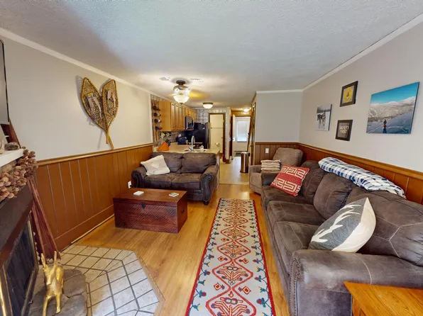 46 Shamrock Cir, Slatyfork, WV 26291