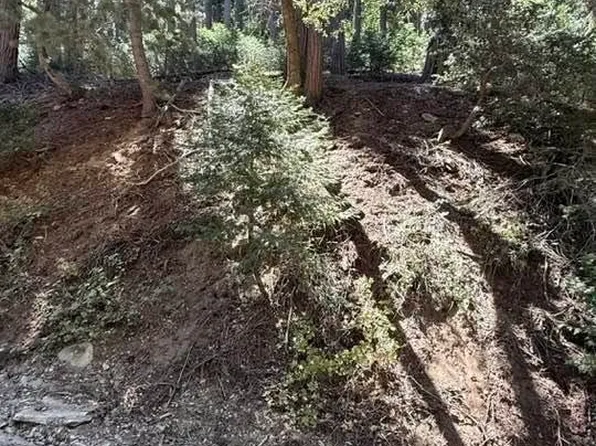 34207243 Mojave River Rd Lot 53, Cedarpines Park, CA 92322