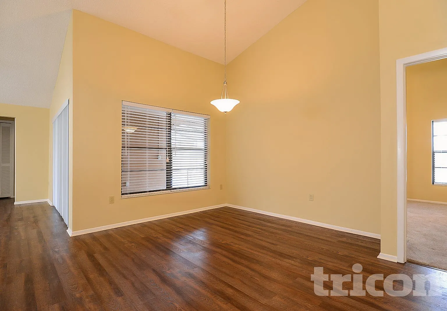 3699 Chatham Drive Palm Harbor FL — Photo 4