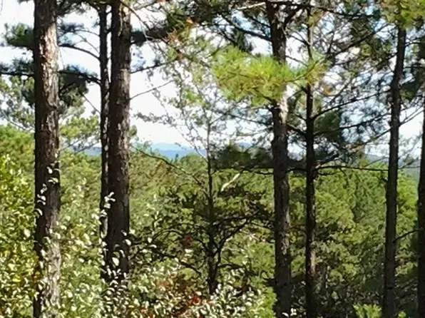 148 Highland Woods Rd, Copperhill, TN 37317