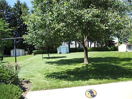 Backyard taken from carport area