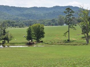 Taylor Rd, Rutledge, TN 37861