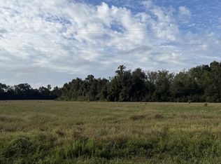 31.82 Ac D Hodge Rd, Cottonwood, AL 36320