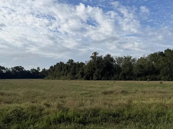 31.82 Ac D Hodge Rd, Cottonwood, AL 36320