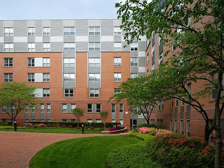James and Harrison Court — Photo 36