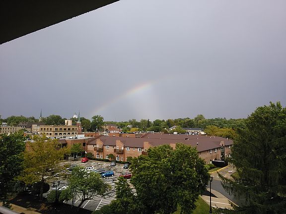 Tree top & rainbow views =)