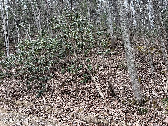 3rd image of John Sevier Dr
