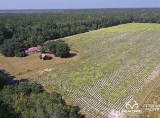 1812 Mullings Ford Rd, Brunson, SC 29911