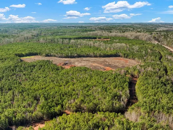 C2-200 Fortune Hole Rd, Hamilton, GA 31811
