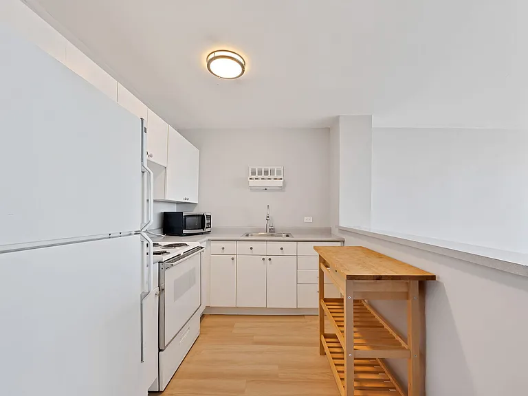1636 N Wells St #1510 — Photo 8