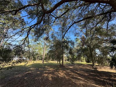 Bonsmara Dr LOT 51, Groveland, FL, 34736