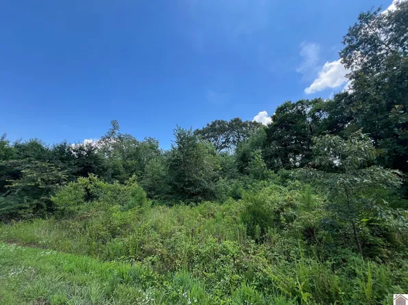 58 Western Rd #Iii, Murray, KY 42071