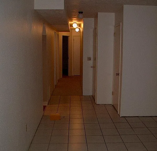 261 Amanda Ct — Photo 4