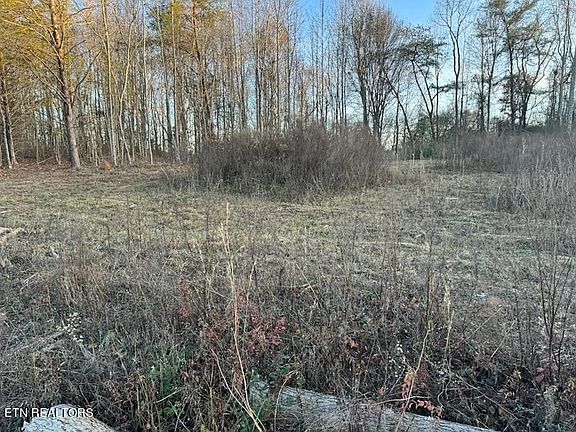 5th image of 239 McClung Rd