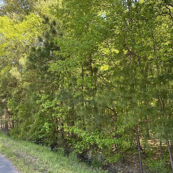 1st image of 135 Whitt Haven Dr