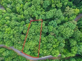 20 Bonnevista Dr LOT 20, White Pine, TN 37890