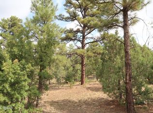 4190 W Hawthorn Rd, Show Low, AZ 85901