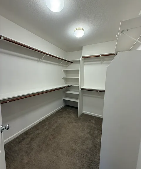 11861 Point Rock Way — Photo 20