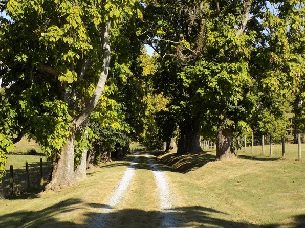 2890 Elizaville Rd, Ewing, KY 41039