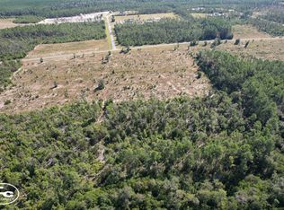 0 NW Telogia Creek Dr, Hosford, FL 32334