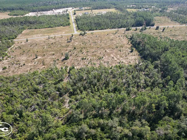 0 NW Telogia Creek Dr, Hosford, FL 32334
