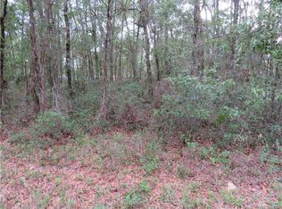 96 N Savary Ave, Inverness, FL 34453