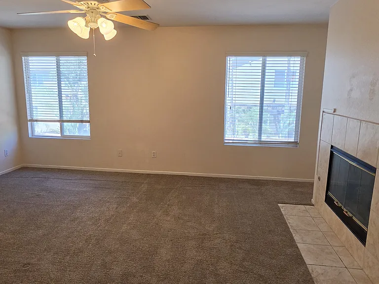 26232 Palm Tree Ln — Photo 15