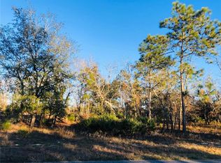 46 Lupine St, Homosassa, FL 34446