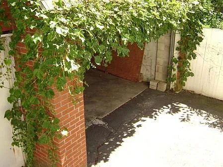 Alma Ave — Photo 12