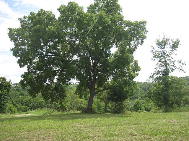 2nd image of Hobbs Hollow