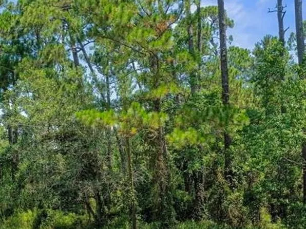 158 Orleans Dr, Dauphin Island, AL 36528